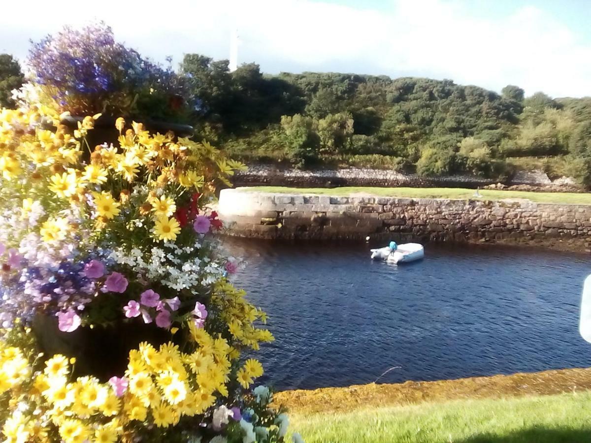 Song Of The Sea, Selkie House Bed & Breakfast Helmsdale Exterior photo